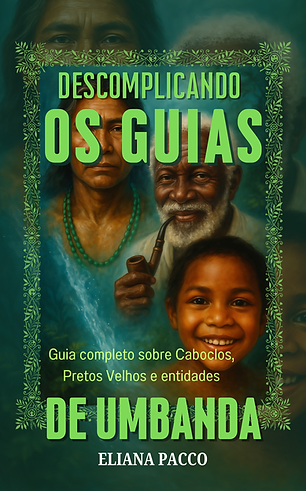 descomplicando os guias.png