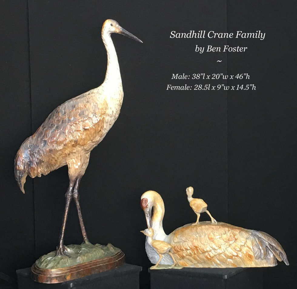 Sandhill Crane Family(a)