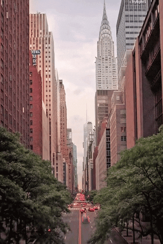 giphy (6).gif