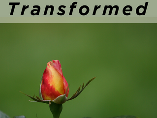 Transformed