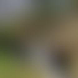 Besuch der 7. Klassen in der Gedenkstätte Mauthausen