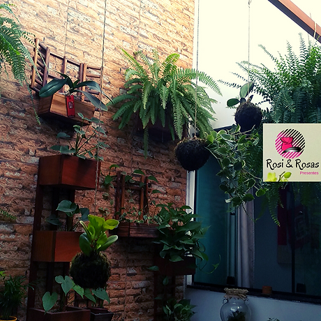 jardim de inverno (2).png