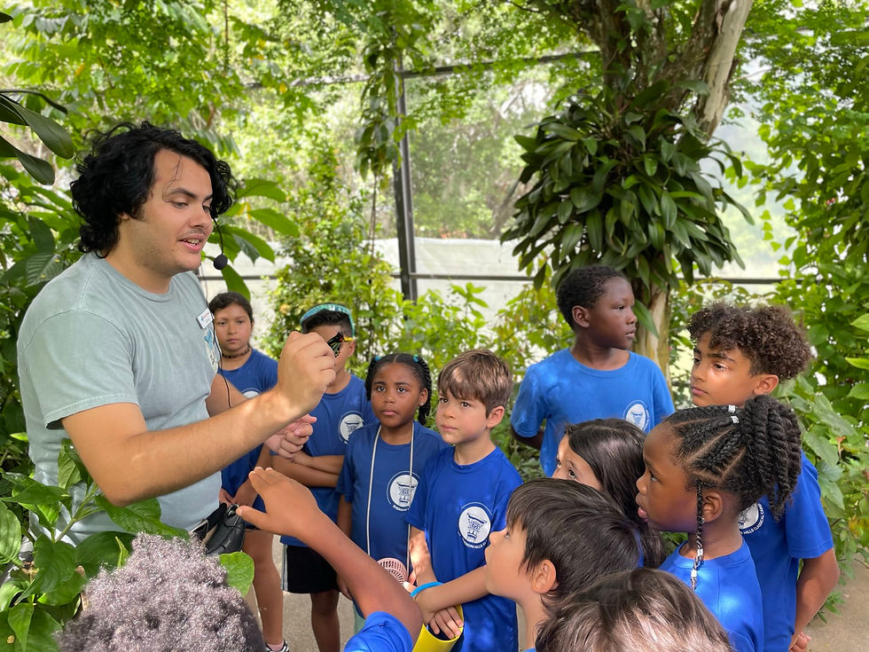 signal-2025-07-25-13-23-01-684-1