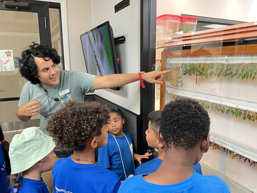 signal-2025-07-25-13-25-46-063