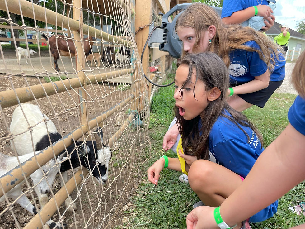 signal-2025-06-20-16-25-27-689-2