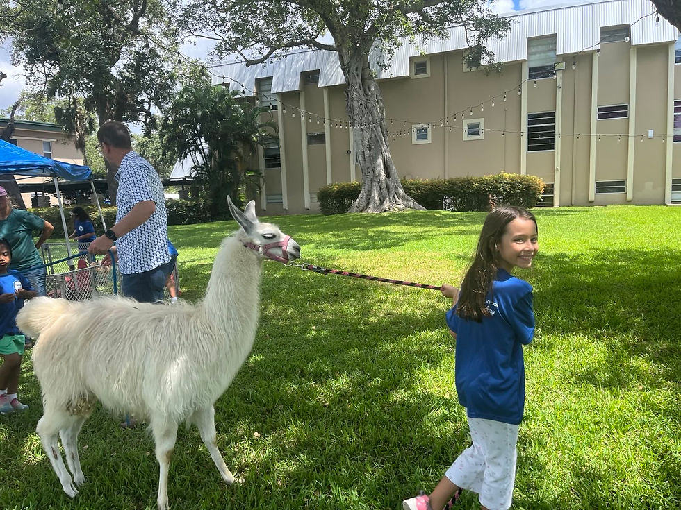 signal-2025-06-24-18-27-59-421 (1)