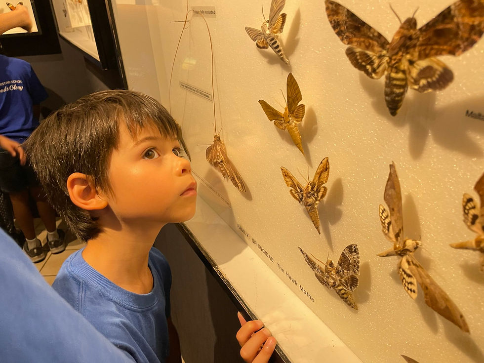 signal-2025-07-25-13-23-01-684-2