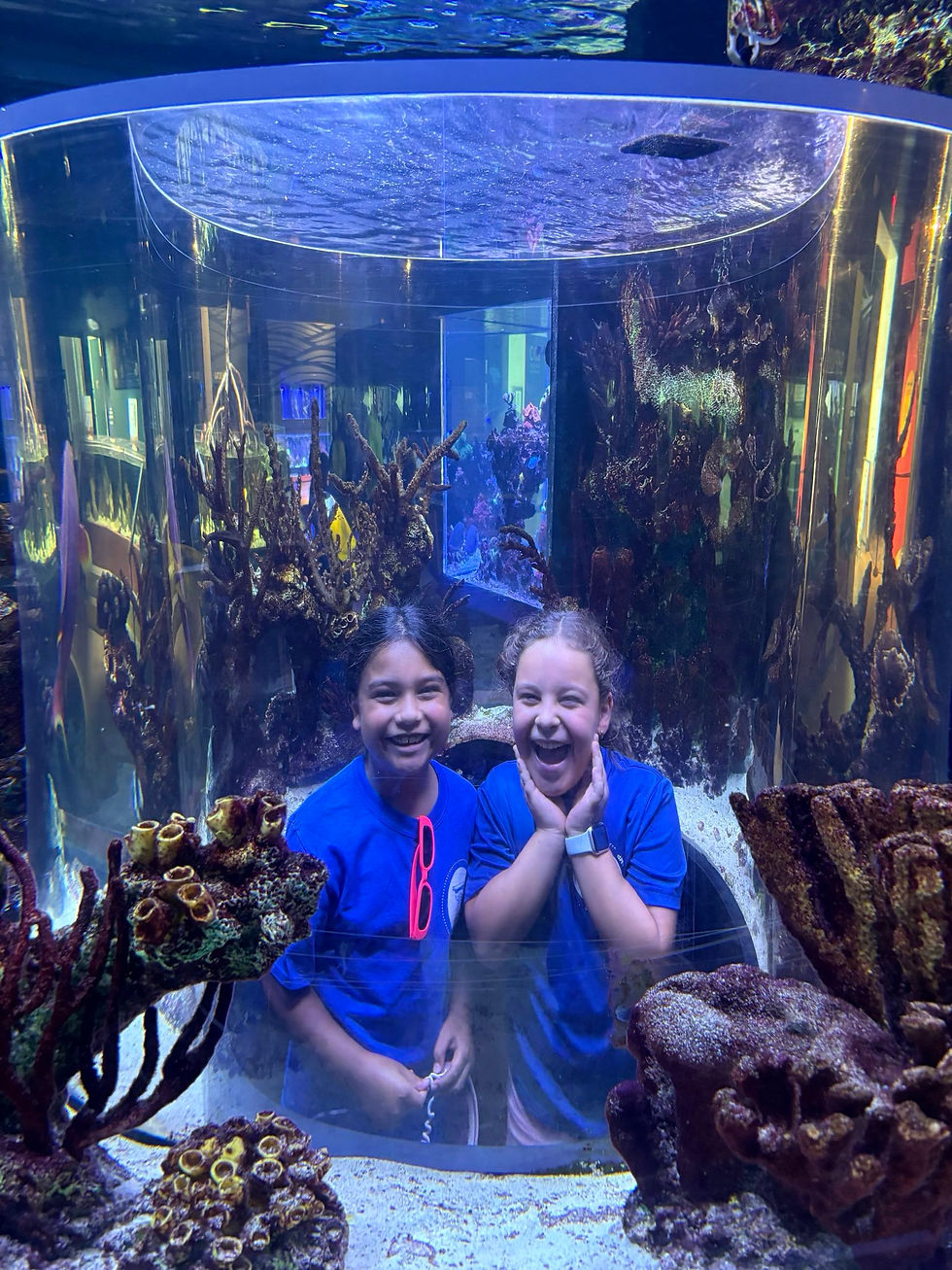 signal-2025-06-13-13-20-03-957