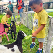 signal-2025-06-24-10-34-22-532-1_edited.