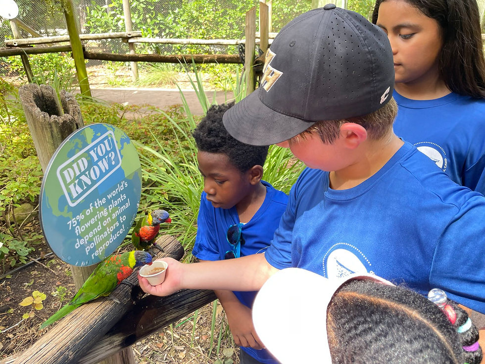 signal-2025-07-11-12-12-15-139-2