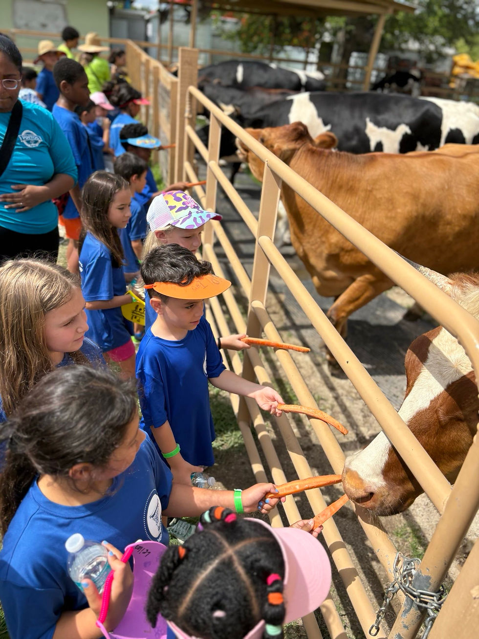 signal-2025-06-20-13-24-01-018