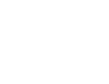 Barcelona Laurel.webp