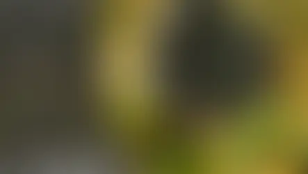 VIDÉO : Retour sur le marché de Noël de la PRÉPA Avenir Jeunes