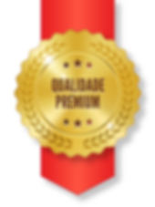 Consultoria Estratégica, Consultoria com Foco em Resultados, Consultoria e Treinamentos em Gestão de Projetos em Joinville, Curitiba, Porto Alegre, São paulo, Brasília, Belo Horizonte, Minas Gerais, Bahia, Salvador, Fortaleza, Belém, Coaching, Liderança, Moticação, Palestras Motivacionais
