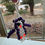 Thumbnail: Penguins!