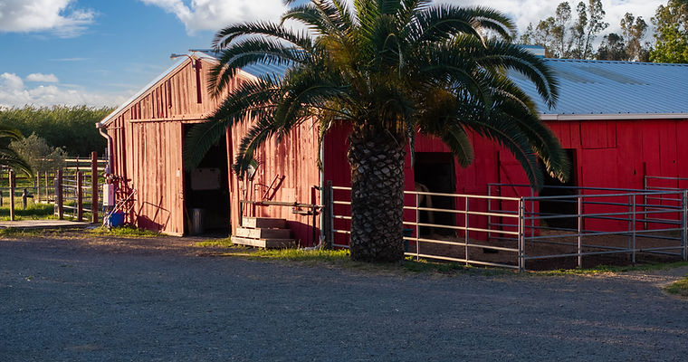 Little Reata Stables - Horse Boarding
