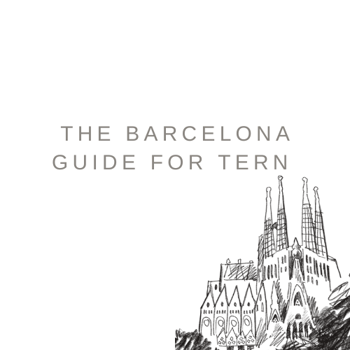 The Barcelona Guide for Tern