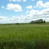 p1000859