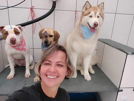 Pet Shop Embu Guaçu