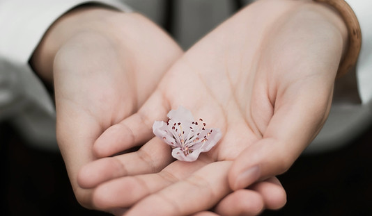 hands holding flower