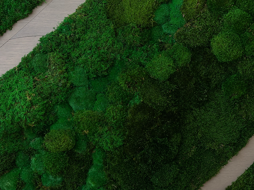 Details of preserved moss on moss wall panel by Forage and Design