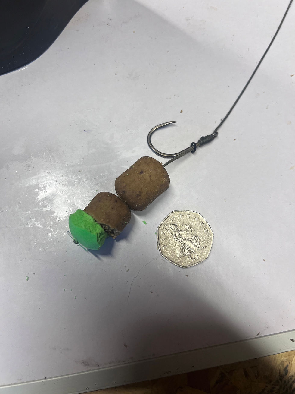 Thumbnail:  CATFISH BAIT Catzilla Stinkz Bombs 26mm dumbbells (1kg)