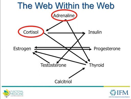 Son 20 yılın belası, tiroid ve hormonal hastalıkları!
