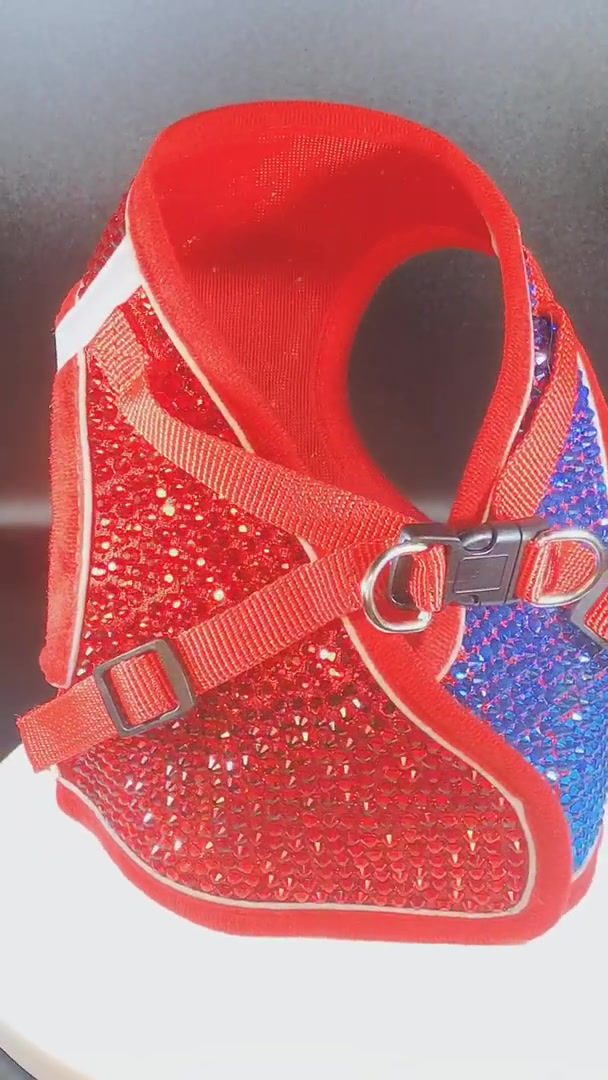 Thumbnail: Red & Blue  coat (large)