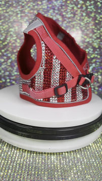 Thumbnail:  Red & Crystal coat (medium)