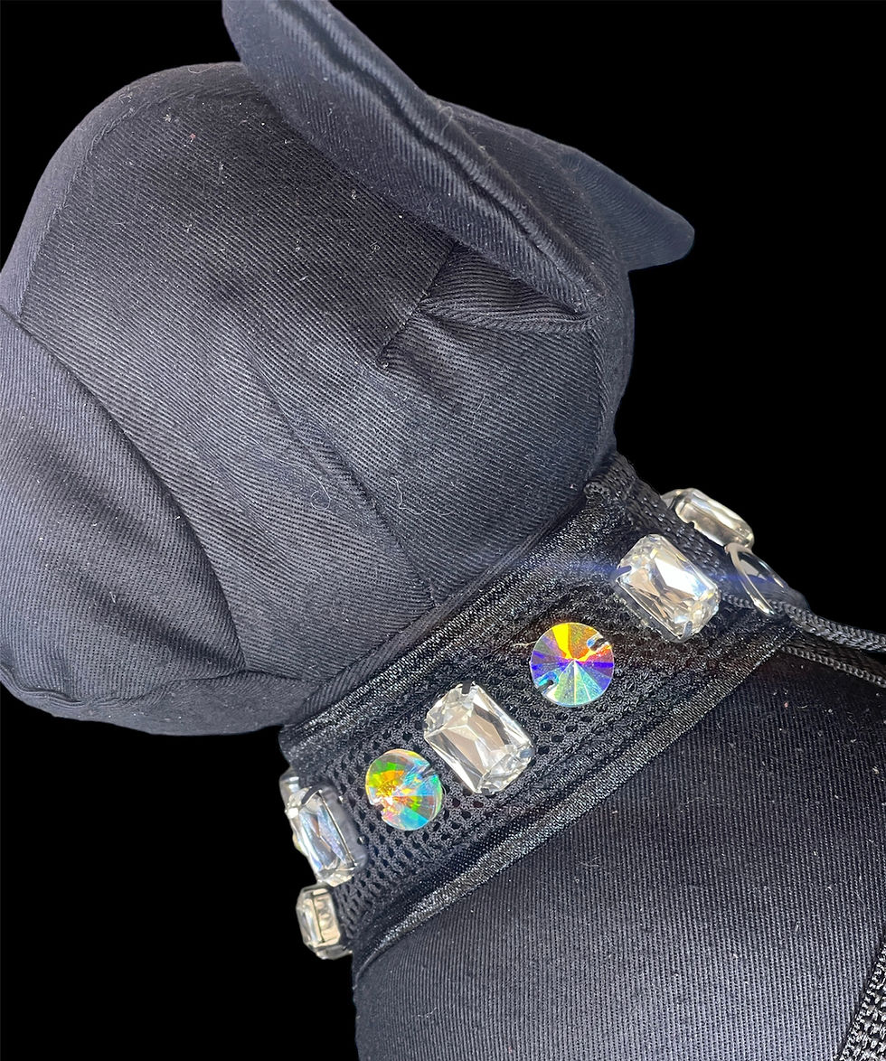 Thumbnail: Crystal and AB choker (extra small )