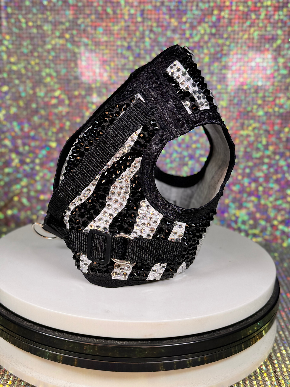 Thumbnail:  Zebra Coat (medium)