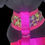 Thumbnail: Multi color choker (extra small )
