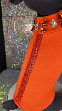 Thumbnail: Glam Crystal / Orange Turtleneck (extra small )