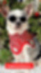 unnamed.jpeg