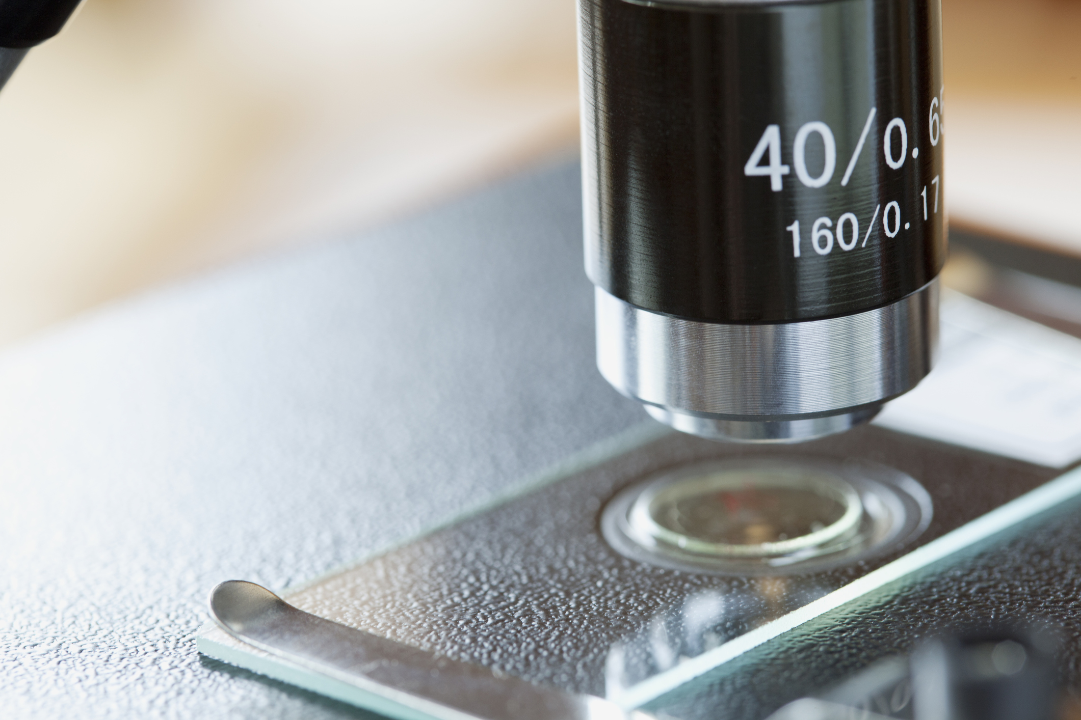 현미경 클로즈업