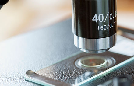 Microscope Slide