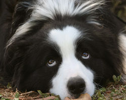 Edited Image 2014-11-23-11:12:5