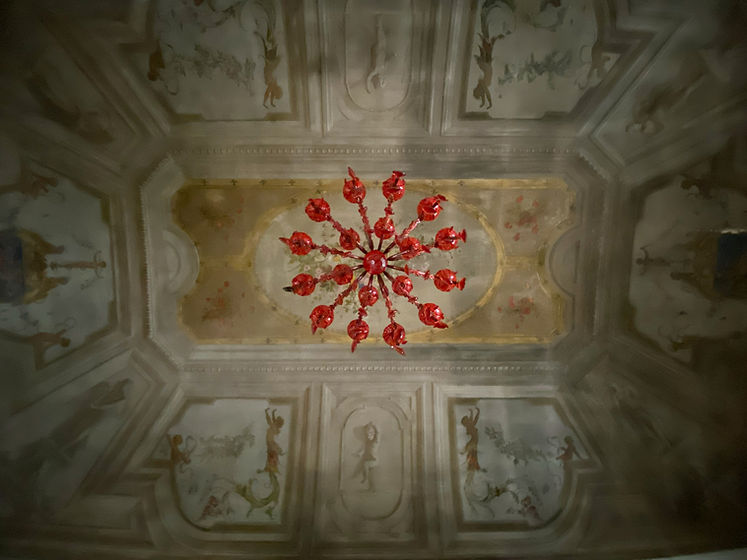 Soffitto Villa Bonvicini