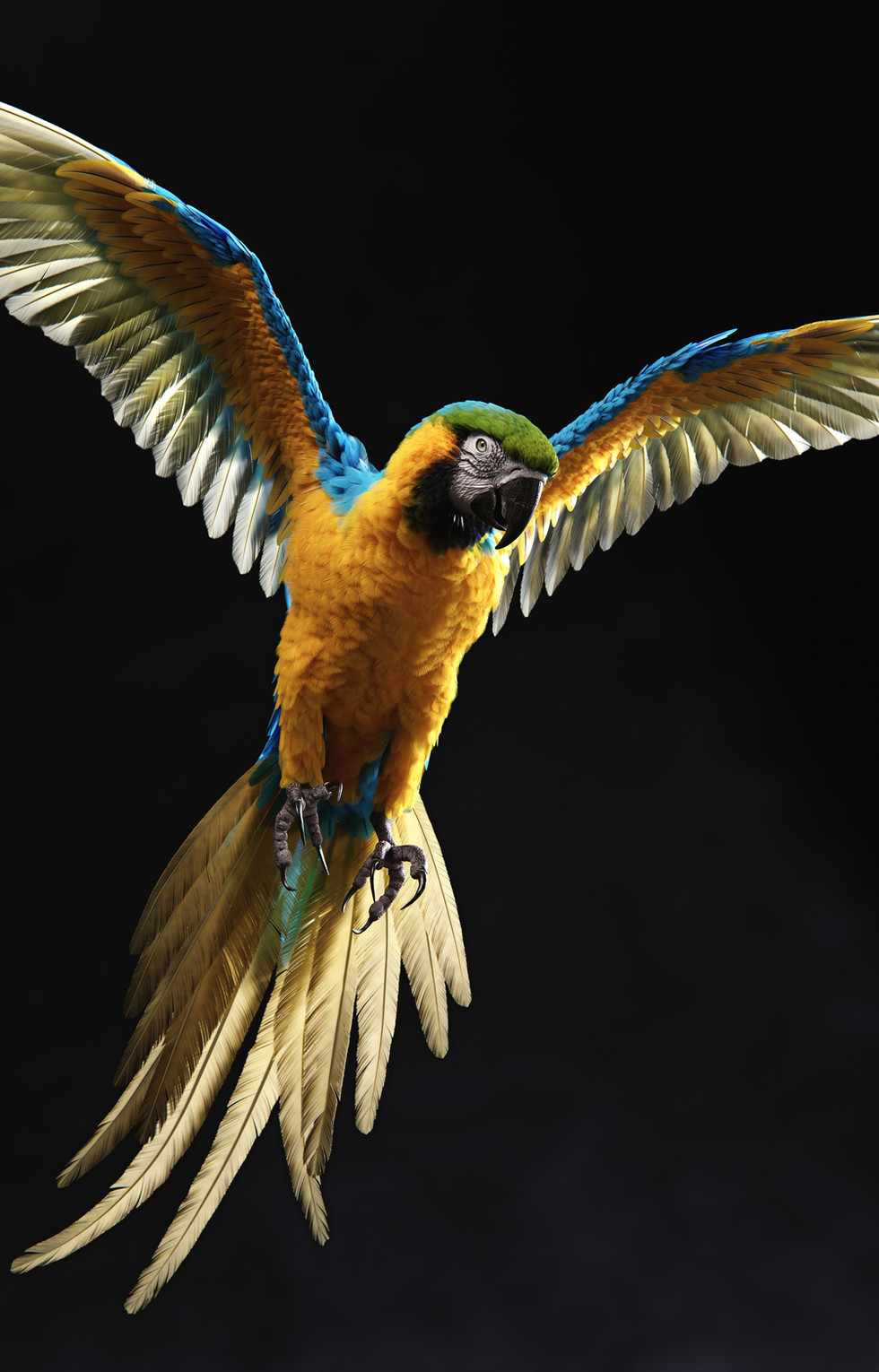 PORTFOLIO Yuriy Dulich
