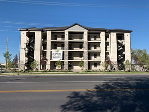 springcreek4.jpeg