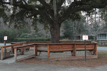 building4.jpeg