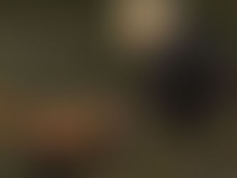 レッサーパンダ！