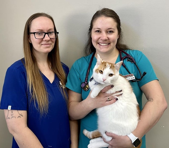 VET CLINIC Boxers B&B LLC