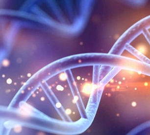 DNA-Erbkrankheit-888x500.jpg
