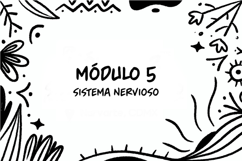 Flyer de modulo 5