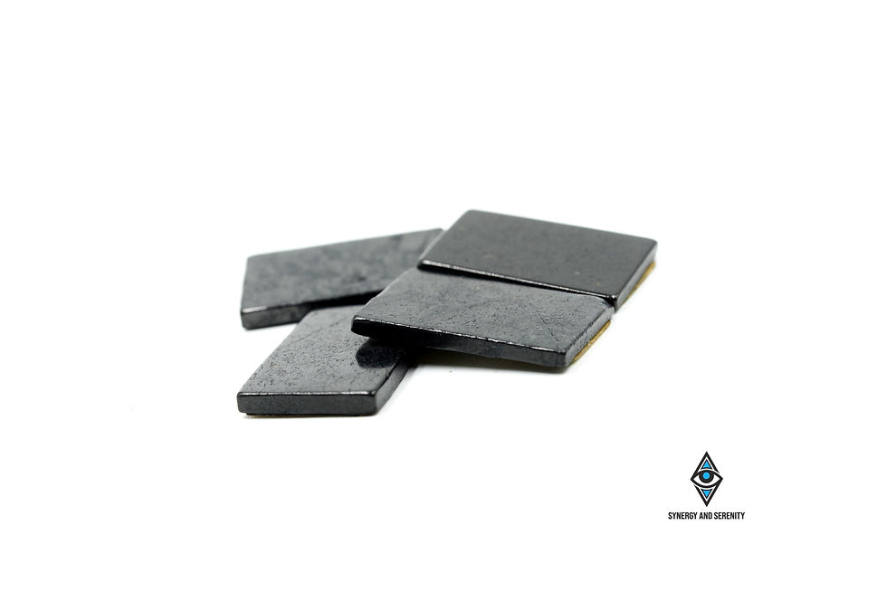 Shungite 300M Sticker