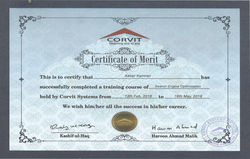 Certificate Top SEO Expert in Lahore