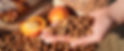 Banner 4.jpg