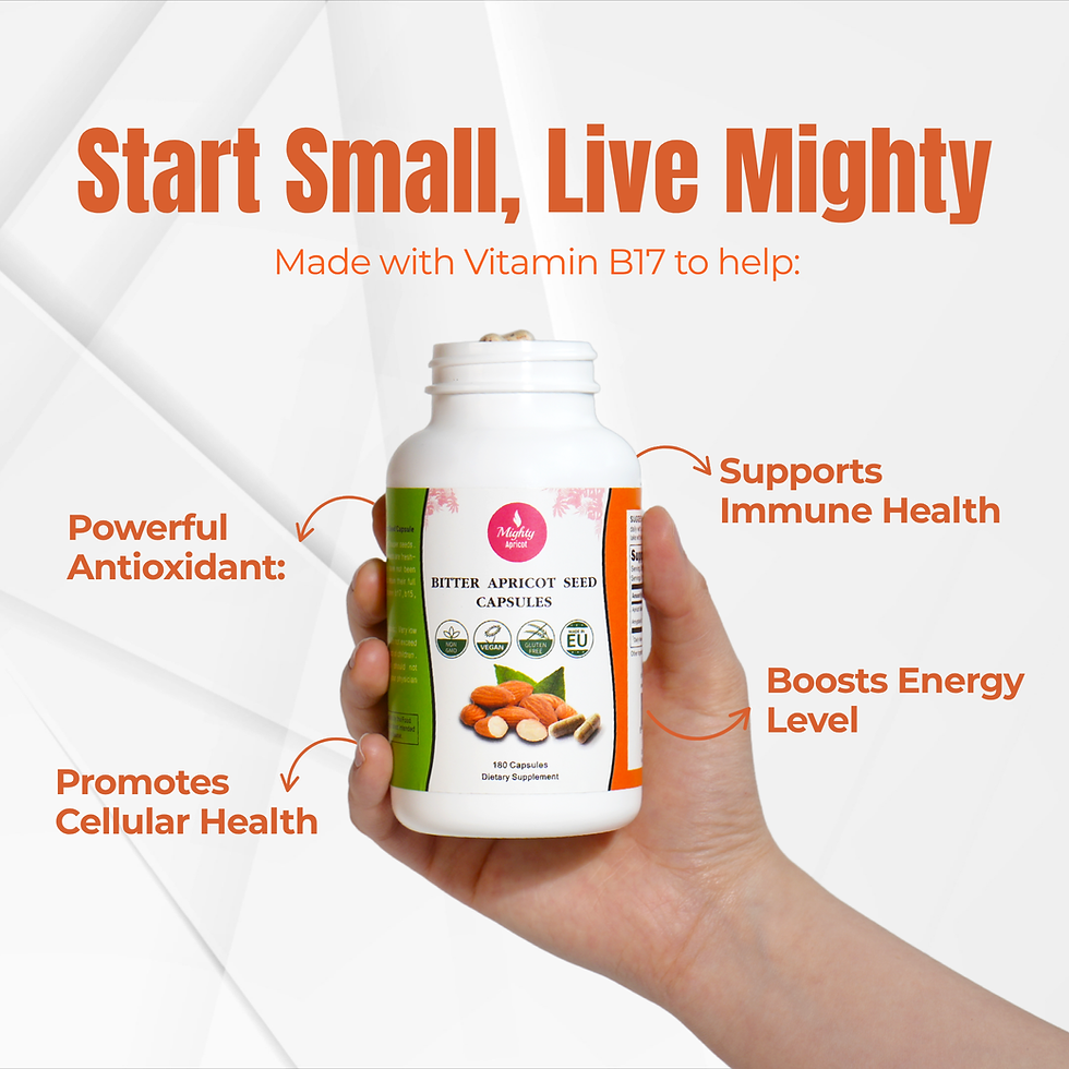 Thumbnail: Bitter Apricot Seed Capsules 65mg/500mg, 180 Capsules