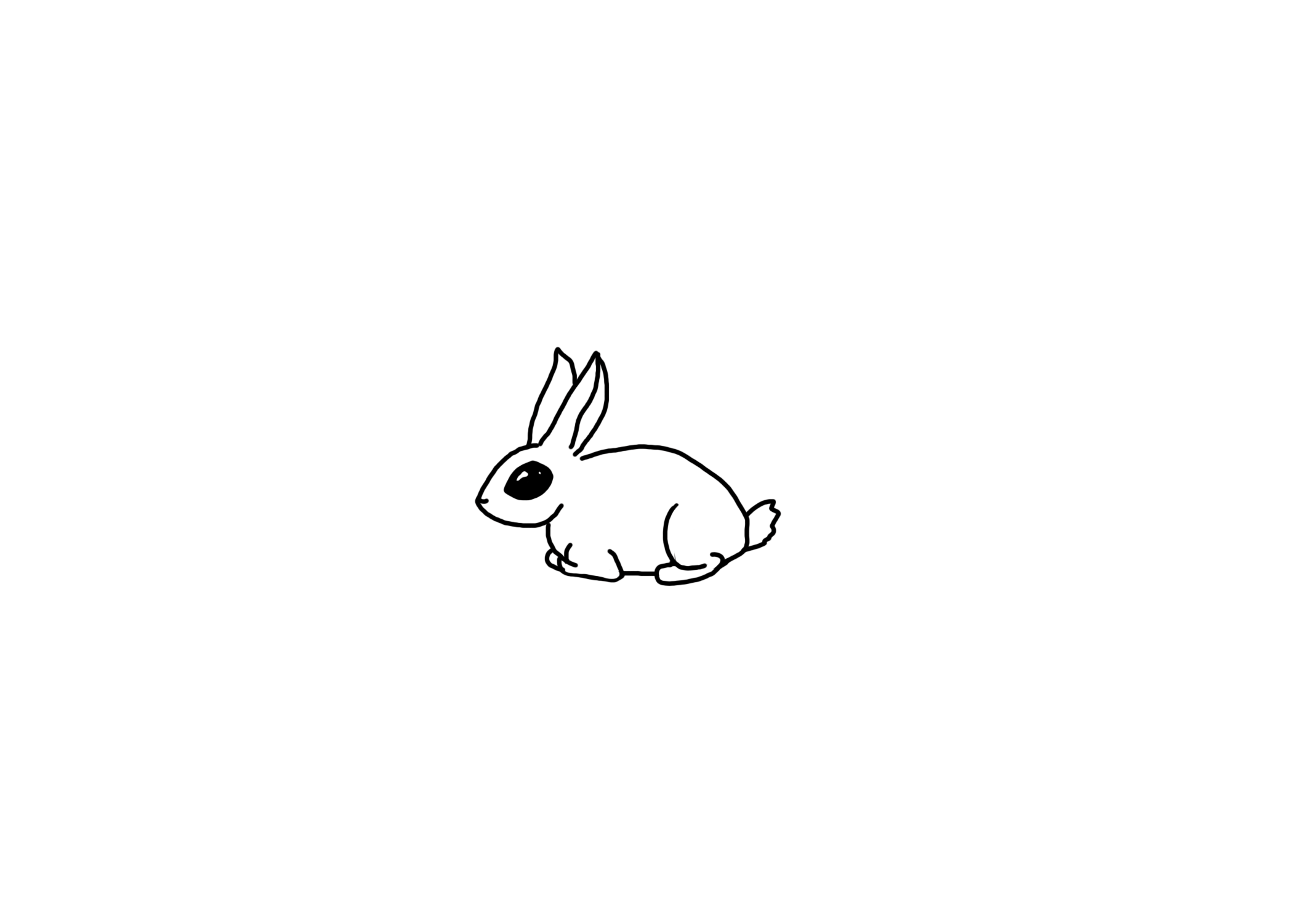 bunny-gif.gif